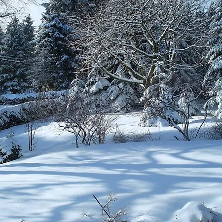 Spacious In Neuastenberg Sauerland Near Ski Area בית נופש